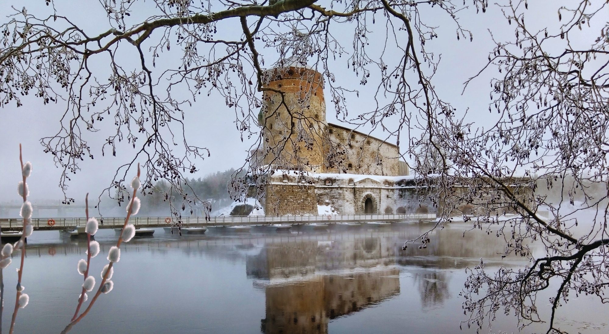 2 2026 OL paasiainen pajunkissat2000 x 1100 px